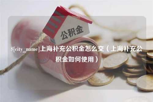 云南上海补充公积金怎么交（上海补充公积金如何使用）